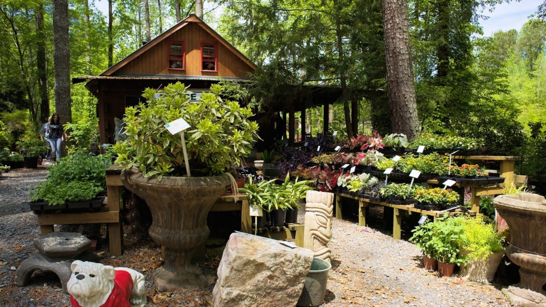 Twin Branch Nursery Nursery and Landscape