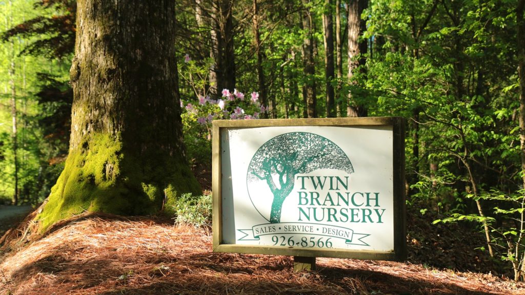 Twin Branch Nursery And Landscape